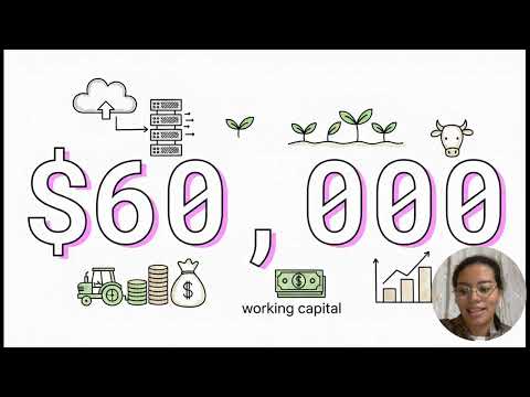 MODELO DE NEGOCIO FINTECH PARA EL SECTOR GANADERO DE GUALAQUIZA Morona Santiago