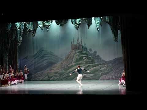 “Pas de troi” from ballet “Swan Lake”        (25.01.2024)    Munich,Germany