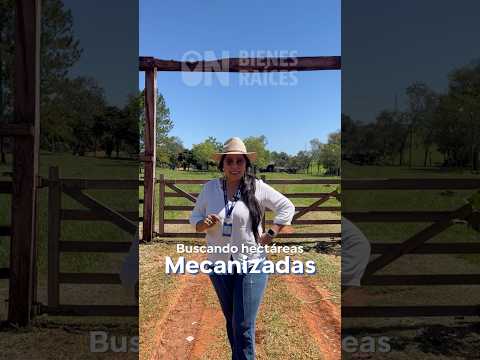 EN VENTA 40 HECTÁREAS EN MINGA GUAZÚ