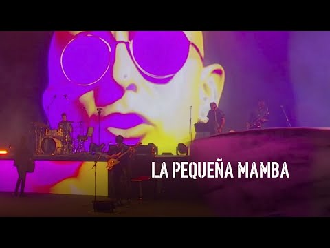 La Pequeña Mamba (Indio) - LFDAA  Vista Brava  - En Vivo, Baradero 7/12/24