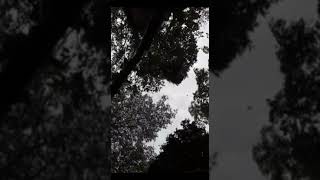 Download lagu Story wa~Luka di sini\Cover gitar mp3