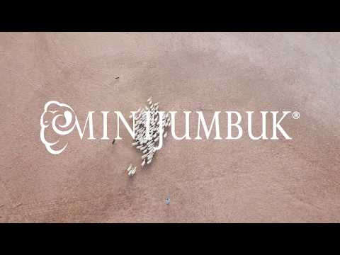MiniJumbuk