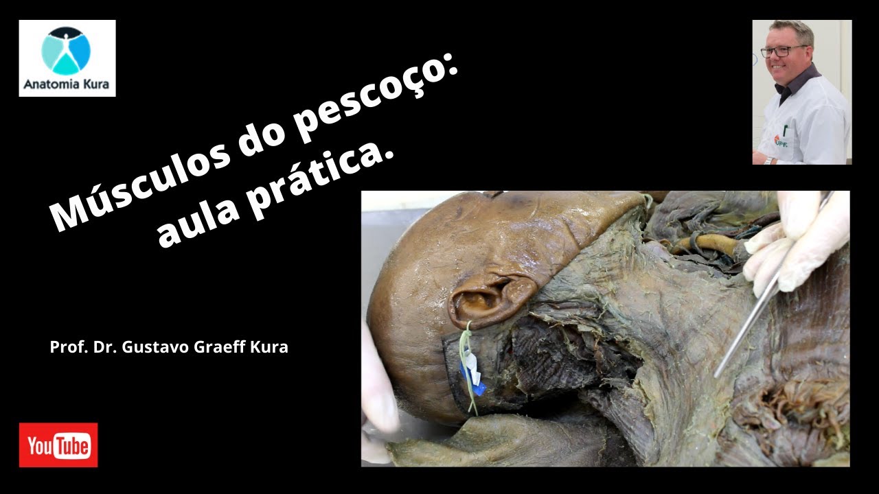 Músculos do pescoço: aula prática