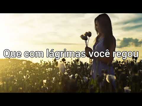 O tempo da colheita - Lizza Karen (COM LETRA)