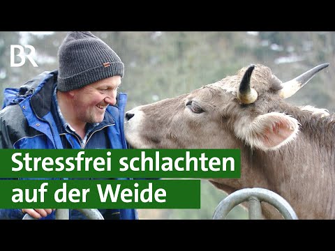 Tierschutz: Schlachten auf der Weide | Unser Land | BR Fernsehen