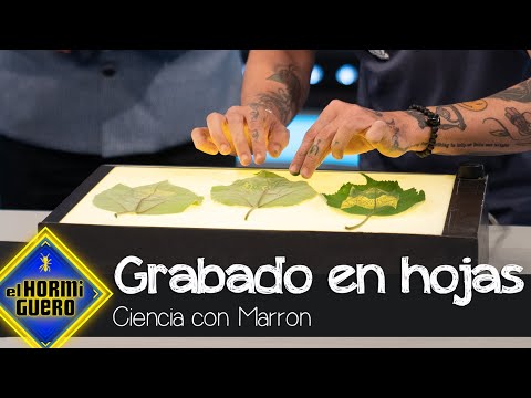 Marron homenajea al mítico Sandokan grabándolo en hojas - El Hormiguero