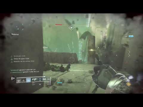 NOCHE DE DESTINY PERROS