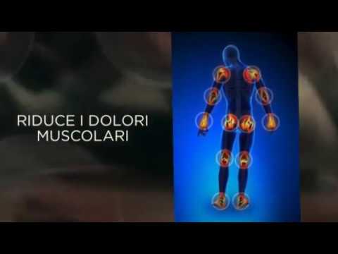 Palpazione di dolori al collo al collo Esercizi per toracica su Norbekovu