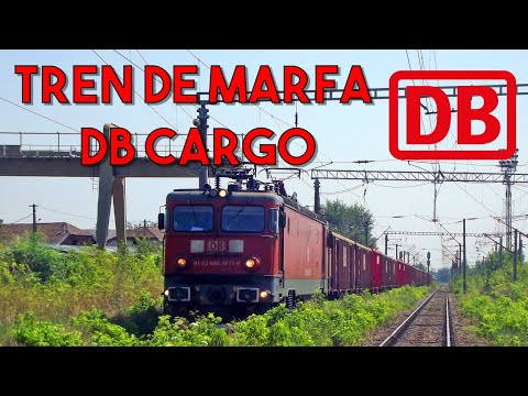 Marfar DB intra in Suceava cu mecanici de nota 11 - 11.08.2014