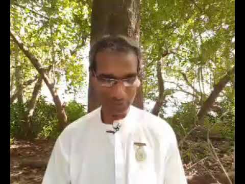 Tamil Murli 20 November 2020 very powerful - BK Saravana Kumar