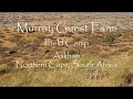 Murray Guest Farm Field Camp