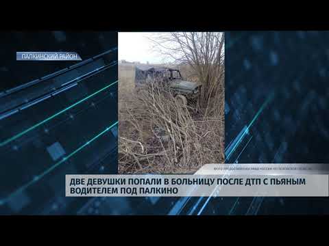 Новости Псков 20.01.2020 / Две девушки попали в больницу после ДТП с пьяным водителем под Палкино