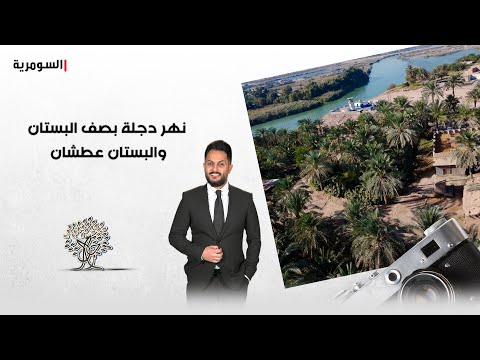 فيديو | نهر دجلة بصف البستان والبستان عطشان!
