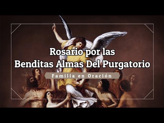 Vídeo relacionado con NOVENA PARA LAS ALMAS SANTAS DEL PURGATORIO: Una guía de oración por la paz y el alivio de las pobres almas del Purgatorio: 16 (Libro de Oración Devocional Católico (Spanish Version))