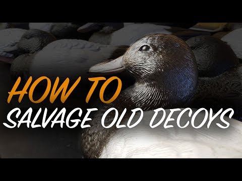 download lagu mp3 mp4 Best Paint For Duck Decoys, download lagu Best Paint For Duck Decoys gratis, unduh video klip Best Paint For Duck Decoys