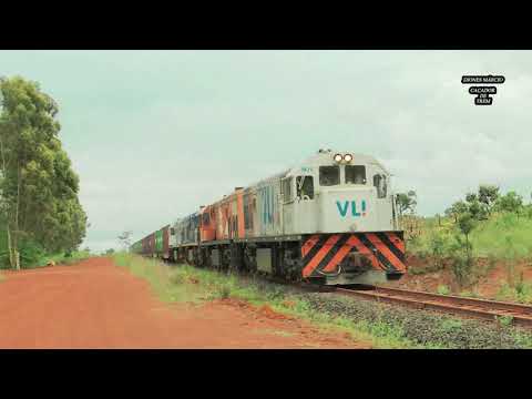 Composição em Leopoldo de Bulhões e em Engenheiro Valente - Goiás.