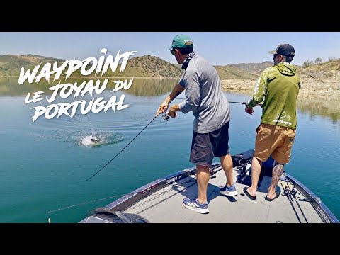 An INCREDIBLE black bass session on Lake Sabor!!! WAYPOINT