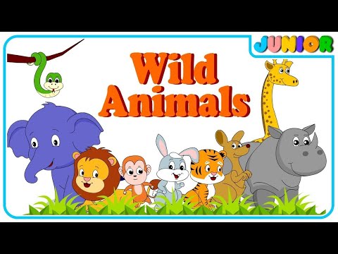 Kids vocabulary - Theme Wild Animals - Learn English - English skills for kids