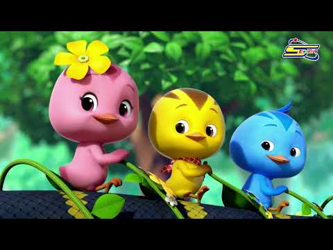 سبيستون كاتوري مجموعة الحلقات الأولى