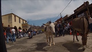 Oatman, AZ Walkabout w/Riders in the Sky