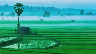 សម្លេងខ្លុយខ្មែរ និងសម្លេងធម្មជាតិ ទេសភាពបែបស្រុកស្រែ​ ធ្វើឲ្យអារម្មណ៏ស្ងប់ឬស្តាប់ពេលគេង