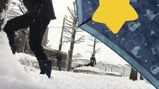 久しぶりの雪なので友達みんなと遊ぼー！