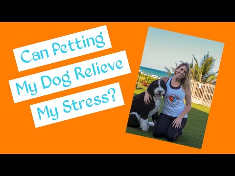 Furbaby Pet Services video.