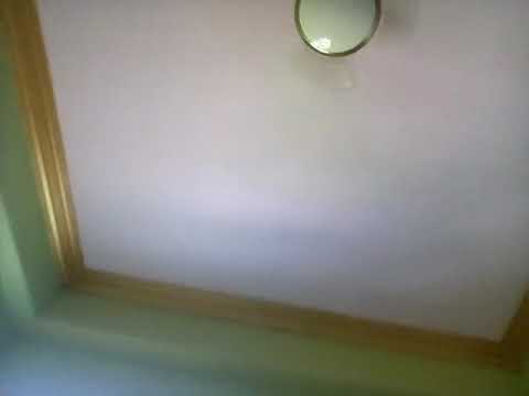 Happy birthday songs