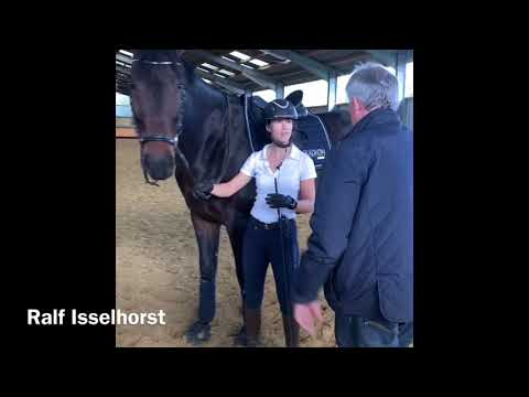 www.dressurtrainer-Isselhorst.de - Wie steige ich richtig auf?