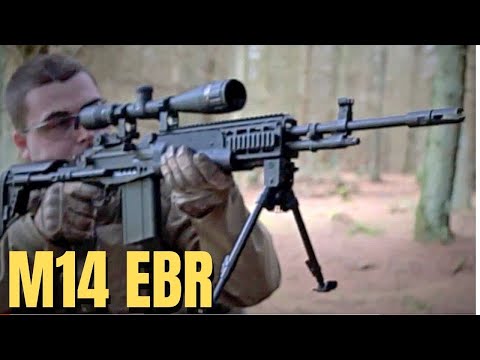 M14 EBR Airsoft Gun Details at Section8 Scotland