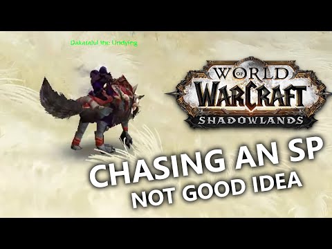 CHASING a Shadow Priest is NOT GOOD IDEA | WoW Shadowlands PvP