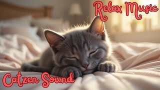 2 Hours of Cozy Cat ASMR ☀️???? Soft Purring for Deep Sleep & Relaxation