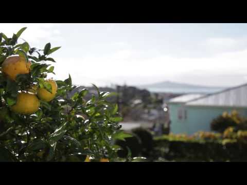 SOLD - 23 Middleton Road, Remuera