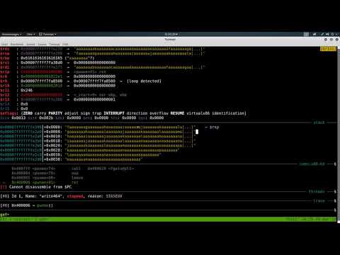 ROP Emporium mit pwntools – 3 write4