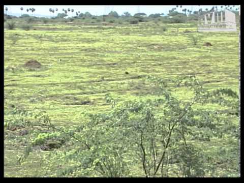 Episode 77: Vazhkkai Tamil TV Serial - AVM Productions