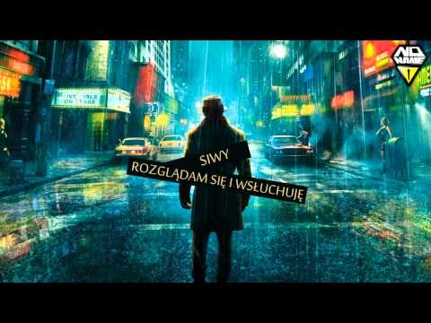 Siwy (DobRapNoc) - Rozglądam się i wsłuchuję