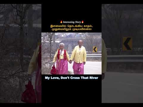 The kind of love everyone needs😭Movie Explained in Tamil | Tamil voice over today new Latest
