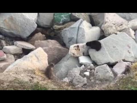 My Favorite Tech of the Month - May!