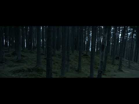 Beluga Lagoon - Laid Bare (Official Music Video)