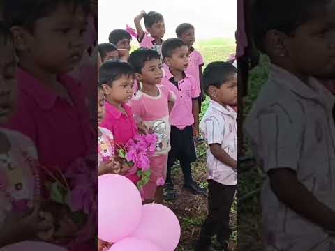 Pink Day Celebration Highlights