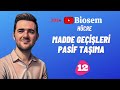 Madde Geçişleri Pasif Taşıma | 39 Günde TYT Biyoloji Kampı-12 | 9.Sınıf Biyoloji Kampı-12 | yks2024