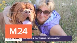Крупная собака насмерть загрызла свою хозяйку - Москва 24