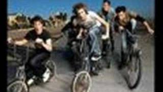 STERIOGRAM- SHMACK!!