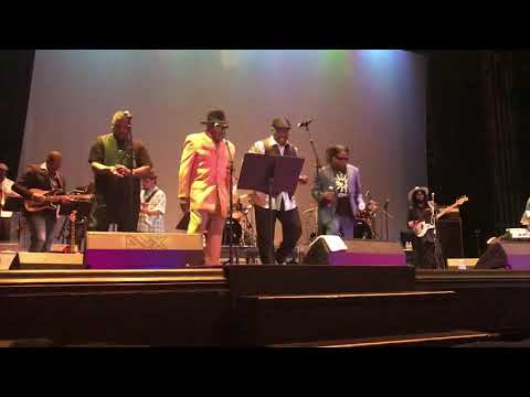 Nadir Omowale brings the funk @ Detroit’s 2019 Concert Of Colors