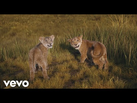 Voglio da sempre un fratello (Da "Mufasa: Il Re Leone")