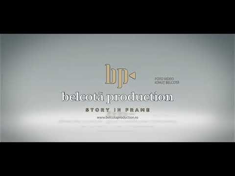 Petrică brundeanu colaj