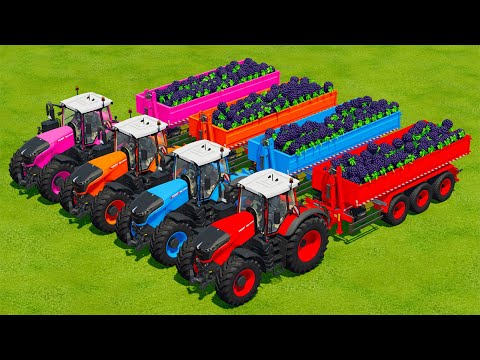 LOAD AND TRANSPORT BLACKBERRYS WITH FENDT TRACTORS - Farming Simulator 22