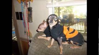 Burn One Down For Me