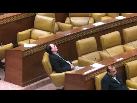 PTI MPA Sleeping In Punjab Assambally