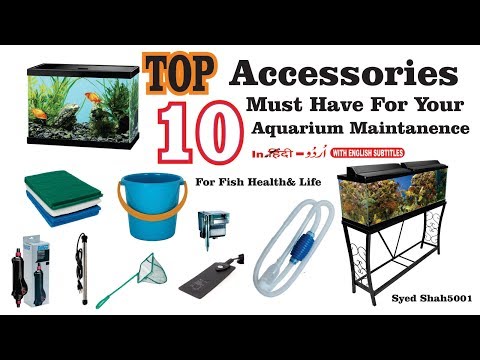Top 10 Aquarium Accessories Must Have for Your Aquarium
